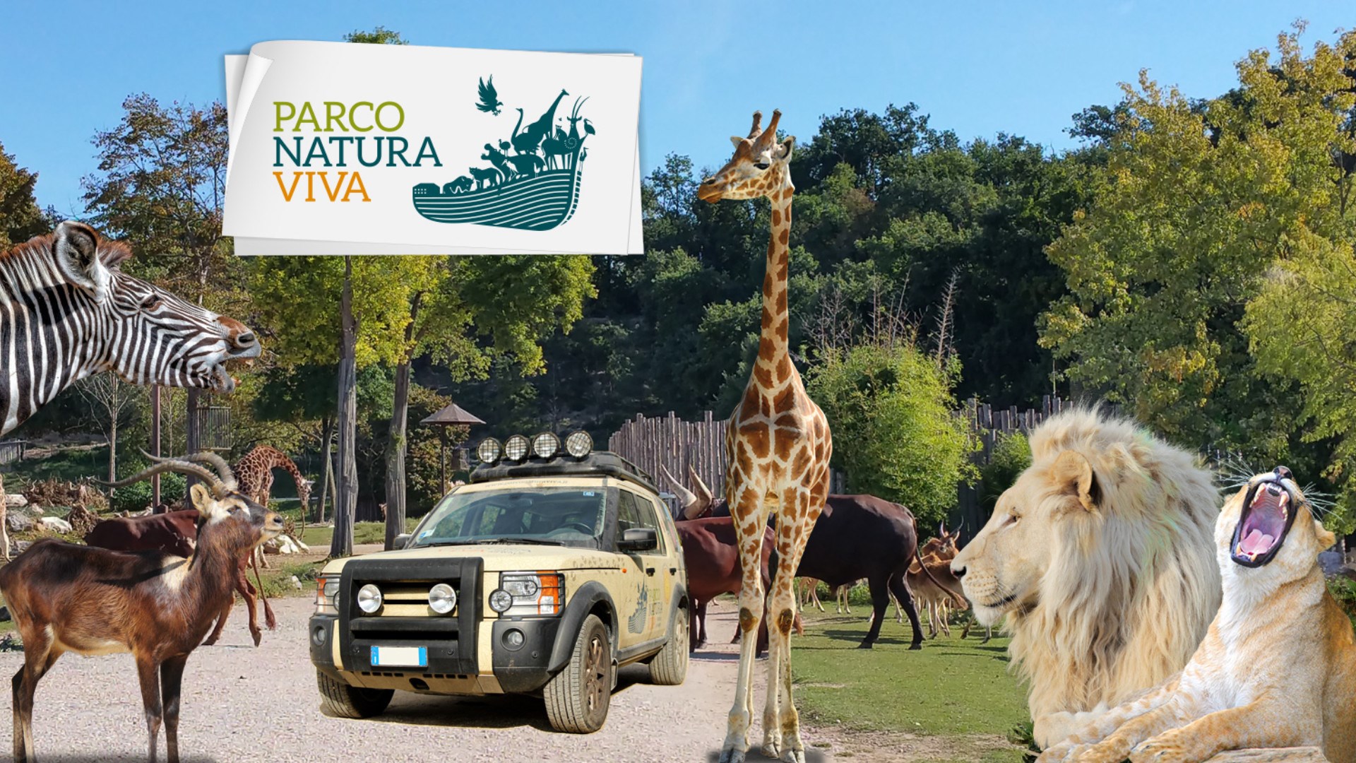 Immagine di PARCO NATURA VIVA INGRESSO PEDONALE ALTRI PAGAMENTI