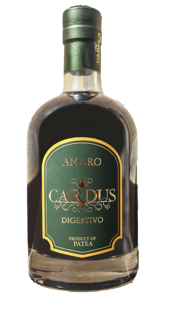 Immagine di AMARO CARDUS 1 lt